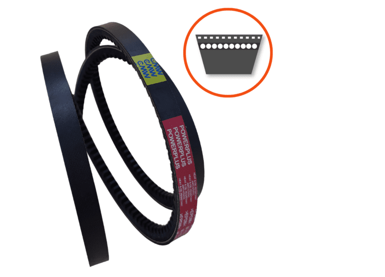 COURROIE TRAP CRANTEE FLANC NU COURROIE TRAP CRANTEE FLANC NU